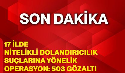 17 ilde nitelikli dolandırıcılık suçlarına yönelik operasyon: 503 gözaltı