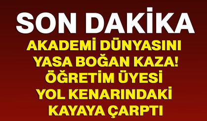 Akademi dünyasını yasa boğan kaza! Öğretim Üyesi yol kenarındaki kayaya çarptı