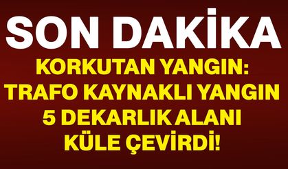 Korkutan yangın: Trafo kaynaklı yangın 5 dekarlık alanı küle çevirdi!