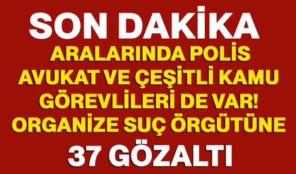 Aralarında polis, avukat ve çeşitli kamu görevlileri de var! Organize suç örgütüne 37 gözaltı