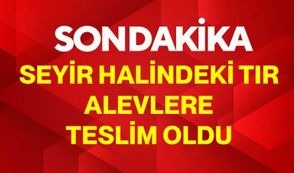 Seyir halindeki tır alevlere teslim oldu