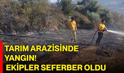 Tarım arazisinde yangın! Ekipler seferber oldu