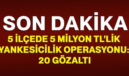 5 ilçede 5 milyon TL’lik yankesicilik operasyonu: 20 gözaltı