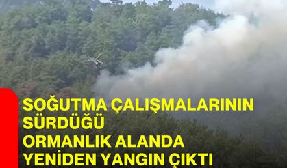 Soğutma çalışmalarının sürdüğü ormanlık alanda yeniden yangın çıktı