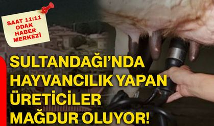 Sultandağı’nda hayvancılık yapan üreticiler mağdur oluyor!