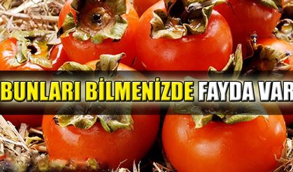 Bunları bilmenizde fayda var