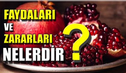 Faydaları ve zararları nelerdir?