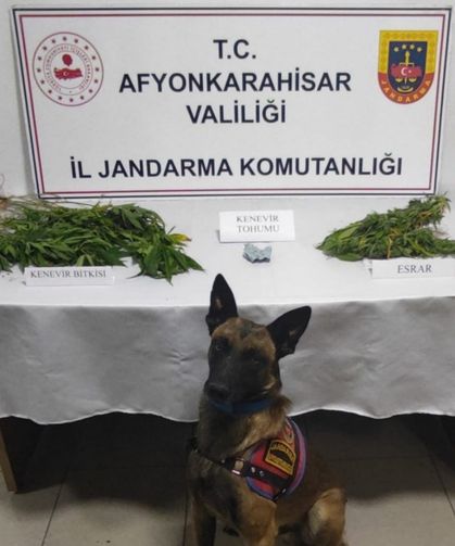 Jandarma zehir tacirlerinin ensesinde