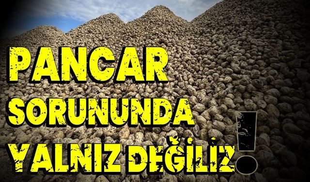 Pancar sorununda yalnız değiliz!