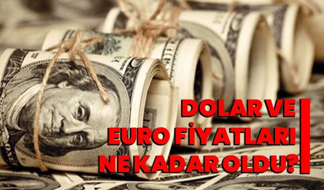Dolar ve Euro fiyatları ne kadar oldu? 