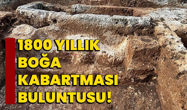 1800 Yıllık Boğa Kabartması Buluntusu!