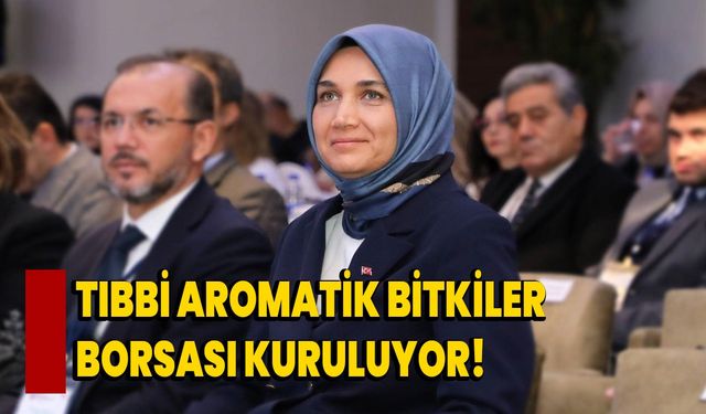 Tıbbi Aromatik Bitkiler Borsası kuruluyor!