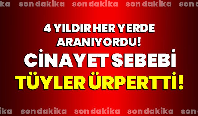 Cinayet aydınlatıldı: Cinayet sebebi tüyler ürpertti!