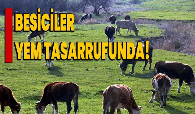 Besiciler Yem Tasarrufunda!