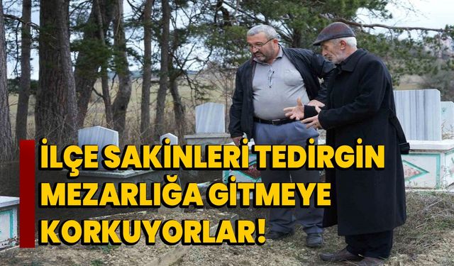 İlçe sakinleri tedirgin, mezarlığa gitmeye korkuyorlar!