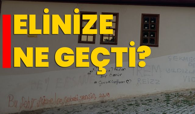 Elinize ne geçti?