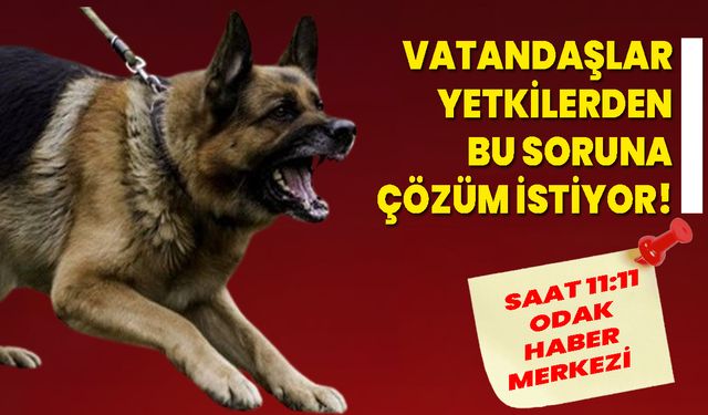 Vatandaşlar Yetkilerden Bu Soruna Çözüm İstiyor!