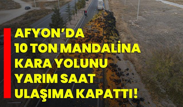 Afyon’da 10 ton mandalina kara yolunu yarım saat ulaşıma kapattı!