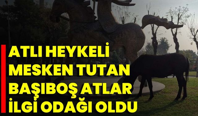 Atlı Heykeli Mesken Tutan Başıboş Atlar İlgi Odağı Oldu