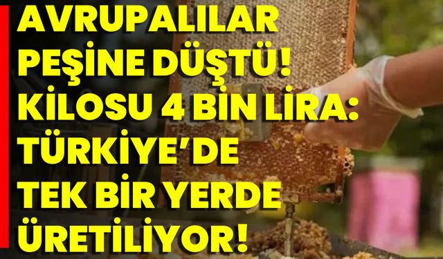 Avrupalılar Peşine Düştü! Kilosu 4 Bin Lira: Türkiye’de Tek Bir Yerde Üretiliyor!