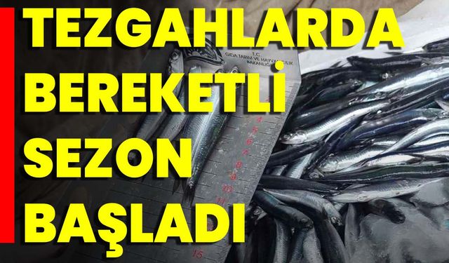 Tezgahlarda Bereketli Sezon Başladı