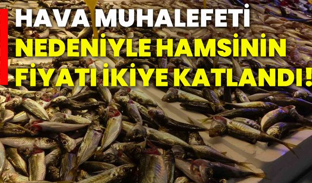 Hava muhalefeti nedeniyle hamsinin fiyatı ikiye katlandı!