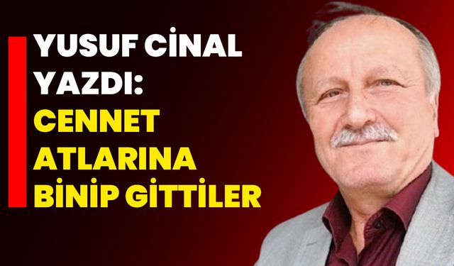 Yusuf Cinal yazdı: Cennet atlarına binip gittiler