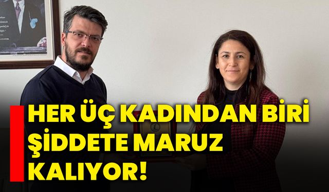 Her üç kadından biri şiddete maruz kalıyor!