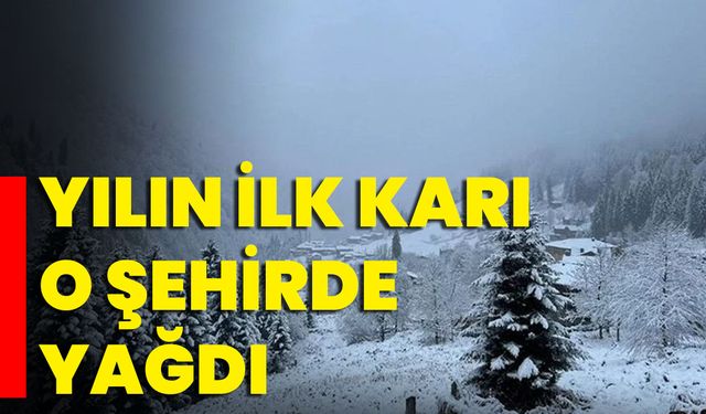 Yılın İlk Karı O Şehirde Yağdı!