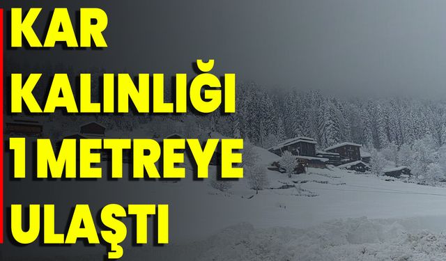 Kar Kalınlığı 1 Metreye Ulaştı