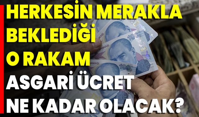 Herkesin Merakla Beklediği O Rakam Asgari Ücret Ne Kadar Olacak?