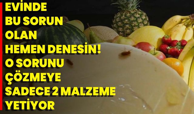 Evinde Bu Sorun Olan Hemen Denesin! O Sorunu Çözmeye Sadece 2 Malzeme Yetiyor