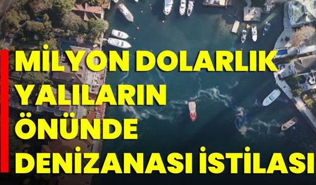 Milyon Dolarlık Yalıların Önünde Denizanası İstilası