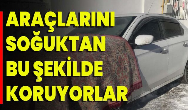 Araçlarını Soğuktan Bu Şekilde Koruyorlar