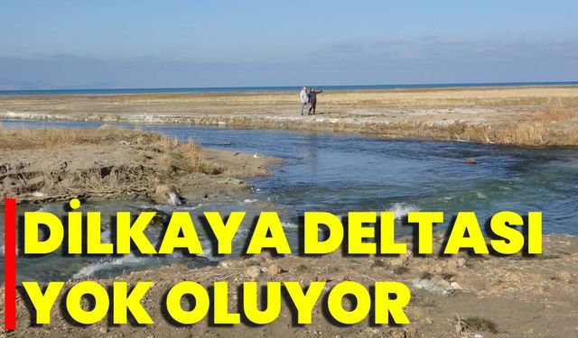 Dilkaya Deltası Yok Oluyor