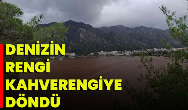 Denizin Rengi Kahverengiye Döndü