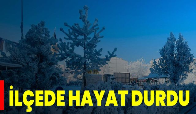 İlçede Hayat Durdu