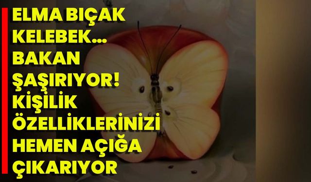 Elma, Bıçak, Kelebek… Bakan Şaşırıyor! Kişilik Özelliklerinizi Hemen Açığa Çıkarıyor