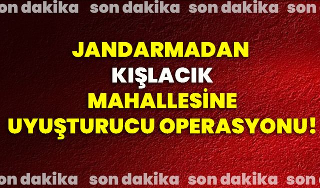 Jandarmadan Kışlacık Mahallesine uyuşturucu operasyonu!