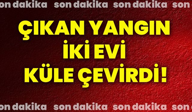 Çıkan yangın iki evi küle çevirdi!