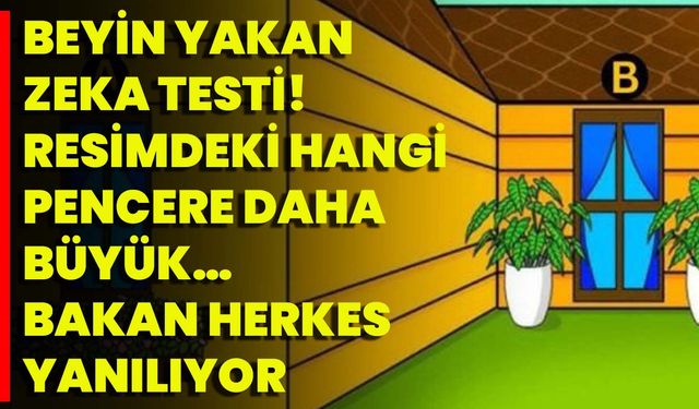 Beyin Yakan Zeka Testi! Resimdeki Hangi Pencere Daha Büyük… Bakan Herkes Yanılıyor