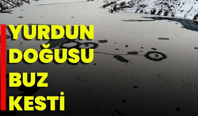 Yurdun Doğusu Buz Kesti