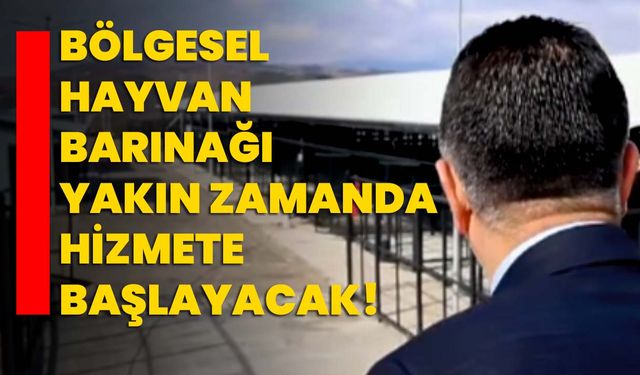 Bölgesel hayvan barınağı yakın zamanda hizmete başlayacak!