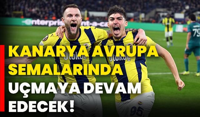 Kanarya Avrupa semalarında uçmaya devam edecek!