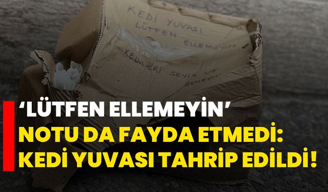 ‘Lütfen Ellemeyin' notu da fayda etmedi: Kedi yuvası tahrip edildi!