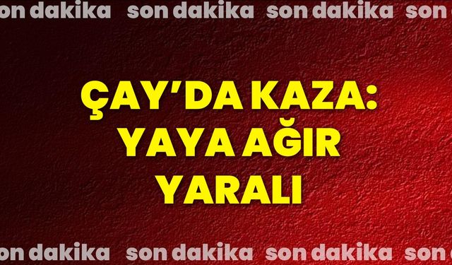 Çay’da Kaza: Yaya Ağır Yaralı