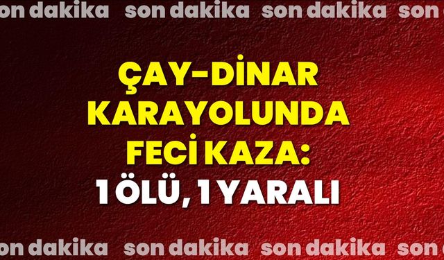 Çay-Dinar Karayolunda Feci Kaza: 1 Ölü, 1 Yaralı
