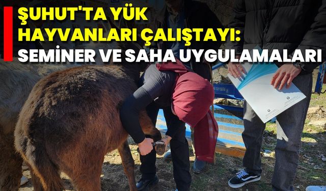 Şuhut'ta Yük Hayvanları Çalıştayı: Seminer Ve Saha Uygulamaları