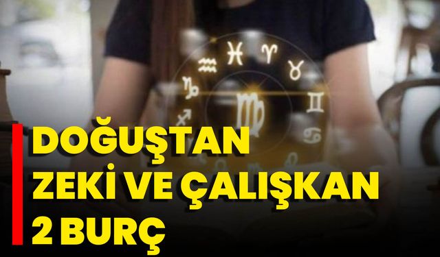 Doğuştan Zeki Ve Çalışkan 2 Burç