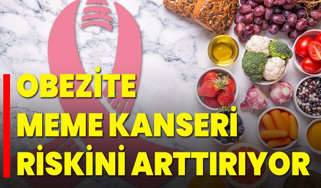 Obezite Meme Kanseri Riskini Arttırıyor